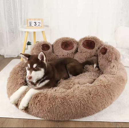 Lit pour chien et chat, canapé en forme de patte d'ours mignon, confortable et confortable, lits de couchage pour petits, moyens et grands, coussin doux et moelleux pour chien